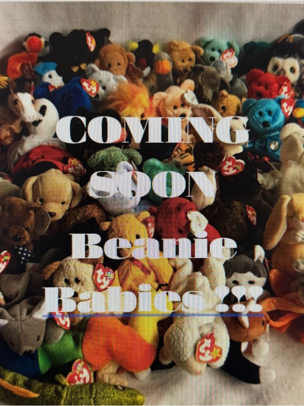 Ty Multicolor Beanie Babies Plush Assortment